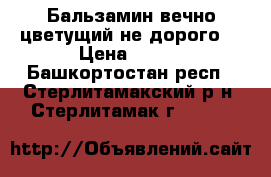 Бальзамин вечно-цветущий не дорого. › Цена ­ 100 - Башкортостан респ., Стерлитамакский р-н, Стерлитамак г.  »    